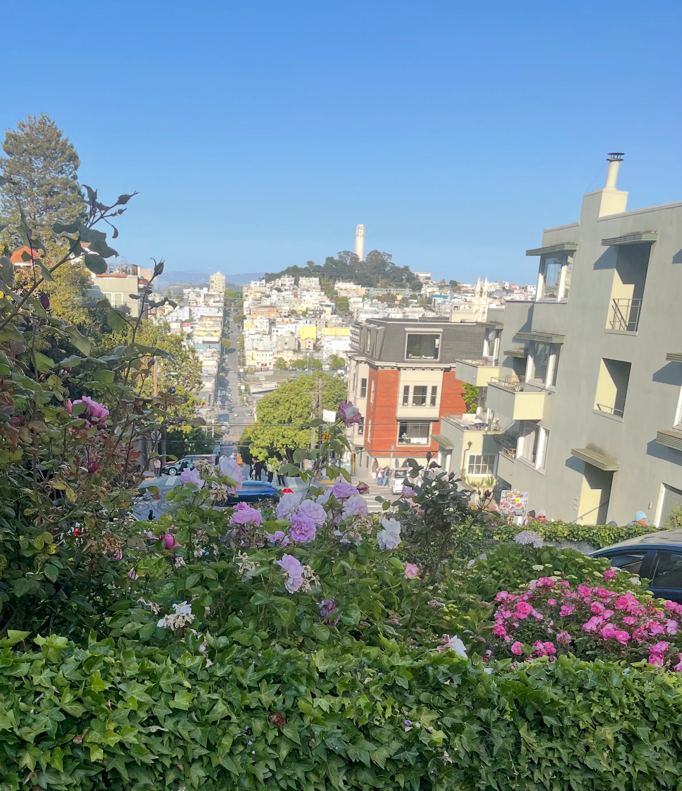 Mountainous view of San Francisco