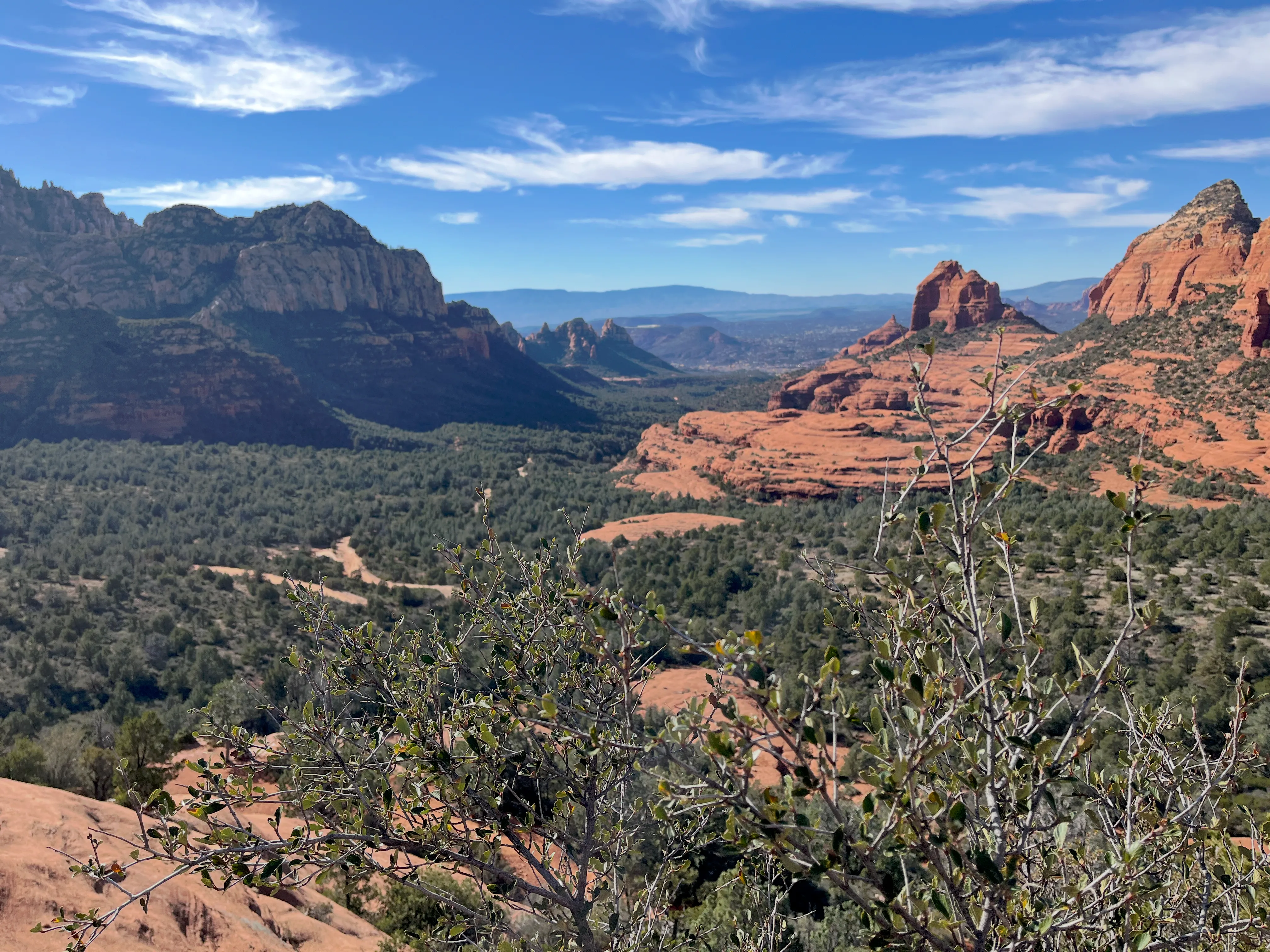 Desert mesas and bushes in Arizona